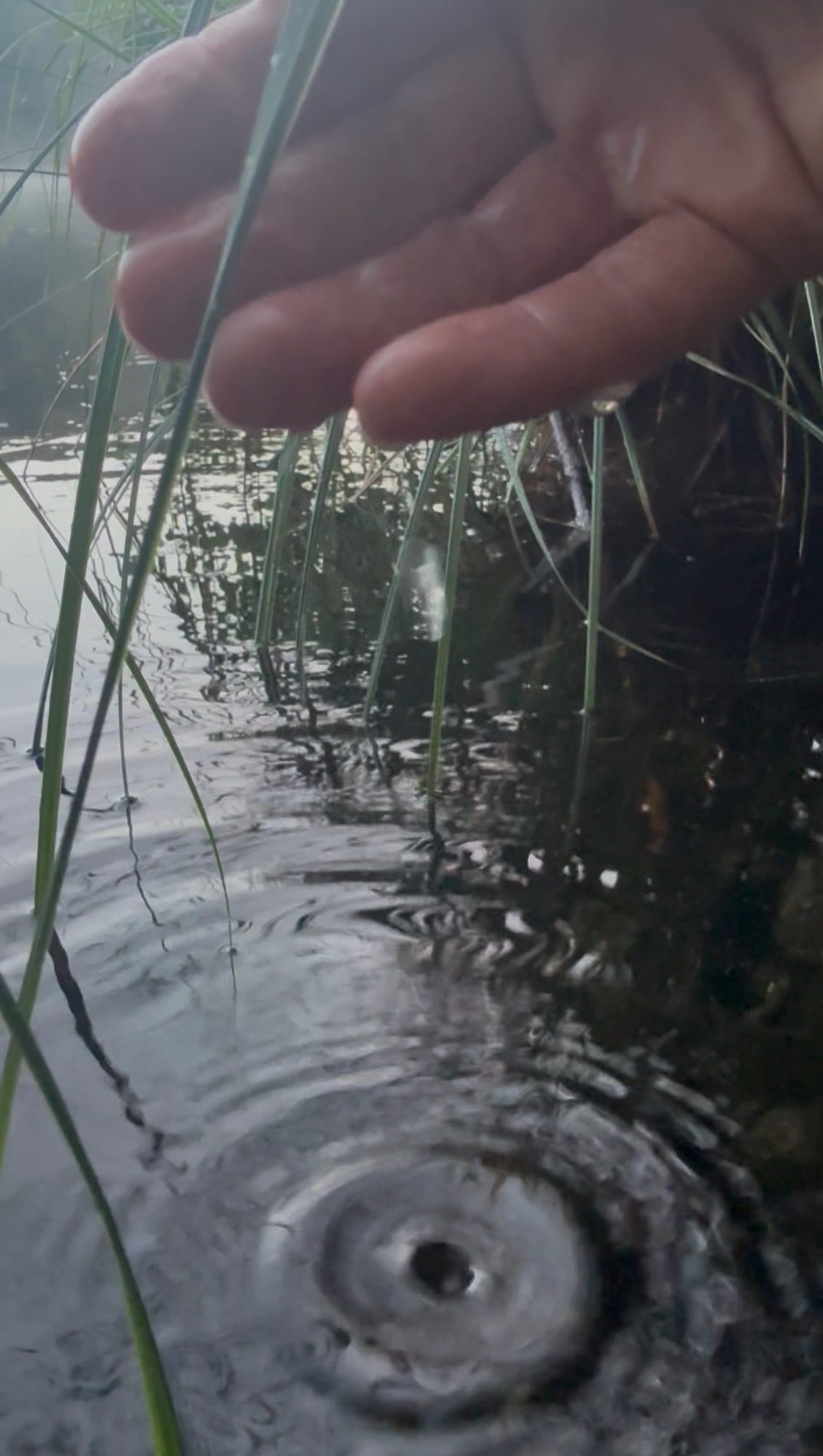 Eine Hand im Regen über dem Wasser, Tropfen ziehen Kreise
